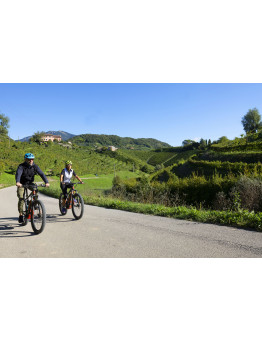 NOLEGGIO E-BIKE PER ESCURSIONE E VISITA GUIDATA | 29 SETTEMBRE | COLLINE DEL PROSECCO CON RINFRESCO