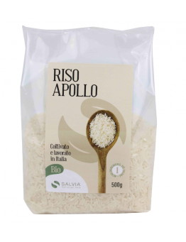 RISO APOLLO BIOLOGICO 500g