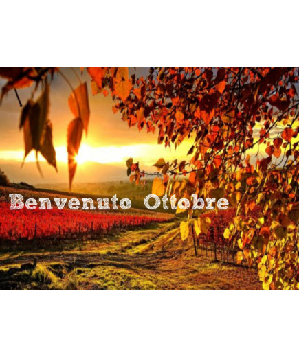 OFFERTA - PACK DEL MESE OTTOBRE