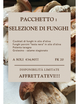 SELEZIONE FUNGHI GOURMET - CON POLENTA E GROLESINO