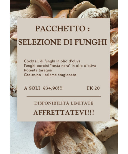 SELEZIONE FUNGHI GOURMET - CON POLENTA E GROLESINO