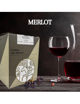 5 LITRI MERLOT 100% - MARCA TREVIGIANA IGT 2023 BAG IN BOX