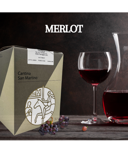 5 LITRI MERLOT 100% - MARCA TREVIGIANA IGT 2023 BAG IN BOX