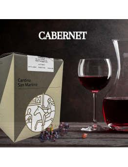 5 LITRI CABERNET 100% -...