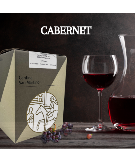 5 LITRI CABERNET 100% - MARCA TREVIGIANA IGT - BAG IN BOX