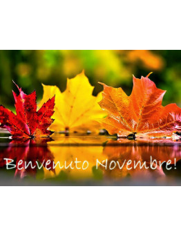 OFFERTA - PACK DEL MESE NOVEMBRE