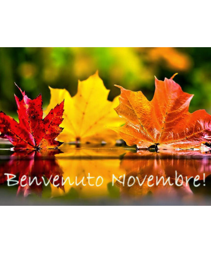 OFFERTA - PACK DEL MESE NOVEMBRE