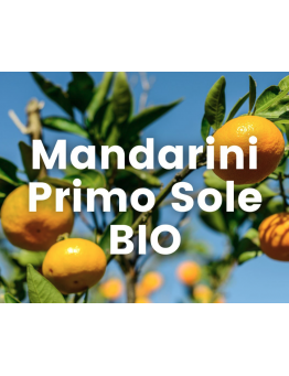 MANDARINI "PRIMO SOLE"...