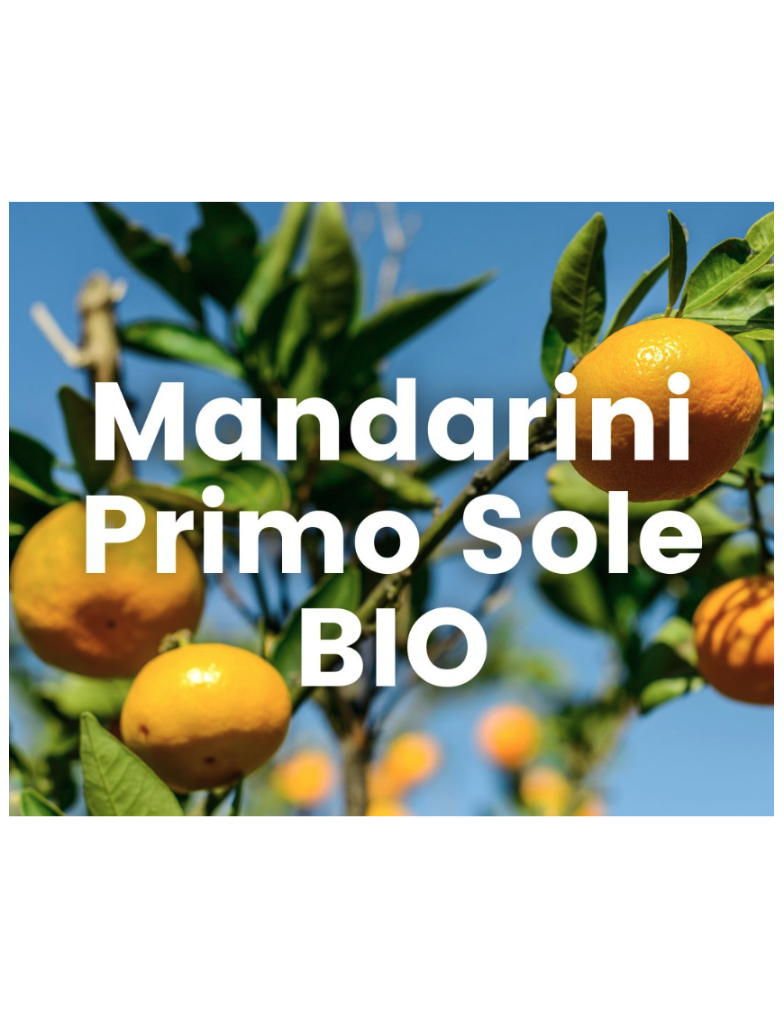 MANDARINI "PRIMO SOLE" SICILIANI BIO 9KG