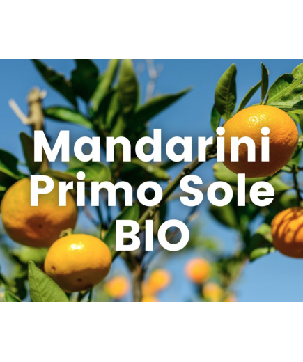 MANDARINI "PRIMO SOLE" SICILIANI BIO 9KG